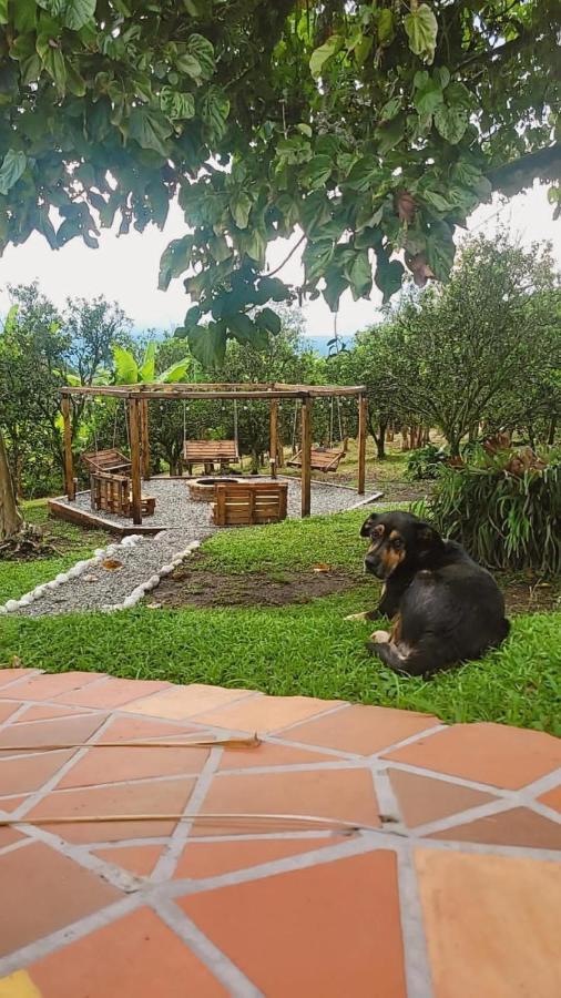 Finca Hotel La Bonita By La Macorina Quimbaya Dış mekan fotoğraf